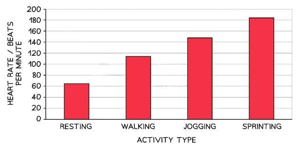 Inticipatory Rise Graph The Structure and Functions of the Cardio-respiratory System - Physical ...