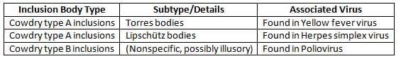 General Properties of Viruses Chapter Notes | Microbiology - NEET PG