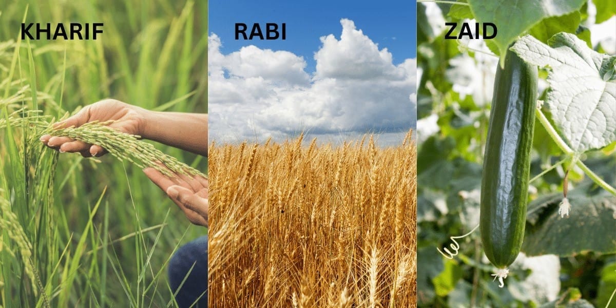 Unit Test (Solutions): The Story of Indian Farming