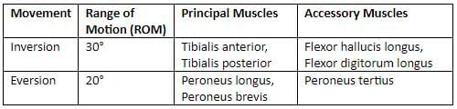 Lower Limb - 2 Chapter Notes | Anatomy - NEET PG