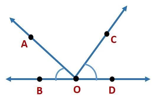 Basic Concepts in Geometry Chapter Notes | Mathematics Class 6 (SSC Board)