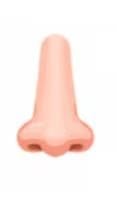Nose
