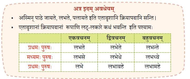NCERT Solutions for Class 7 Sanskrit Chapter 4 न लभ्यते चेत्आम्लं द्राक्षाफलम्