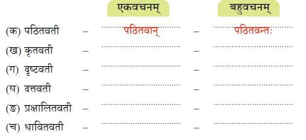 NCERT Solutions for Class 7 Sanskrit Chapter 5 सेवा हि परमो धर्म