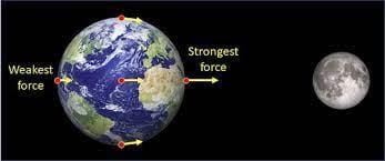 Q2: Multiple Choice Questions (MCQs).