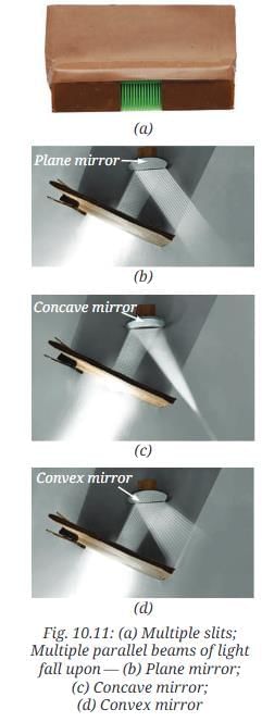 NCERT Based Activity: Light: Mirrors and Lenses | Science Curiosity Class 8 -  New NCERT