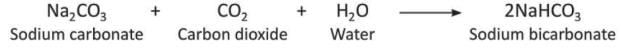 Carbon and Its Compounds Chapter Notes | Chemistry Class 8 ICSE