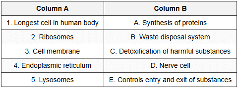 Match the Following