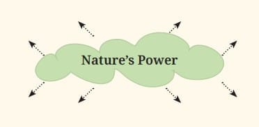 Let us do these activities before we read (Page 137)