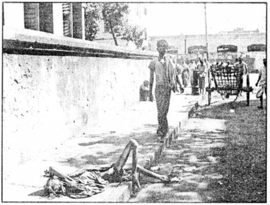 From the Diary of Anne Frank NCERT Solutions | English Class 10