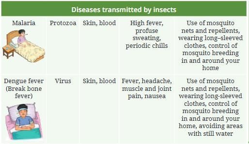 Health: The Ultimate Treasure Chapter Notes | Science Curiosity Class 8 - New NCERT