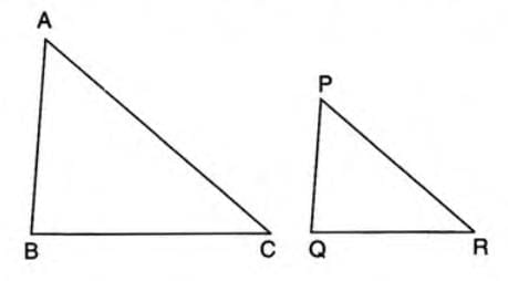 Similarity Chapter Notes | Mathematics Class 10 ICSE