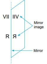Symmetry Chapter Notes | Mathematics Class 6 (SSC Board)
