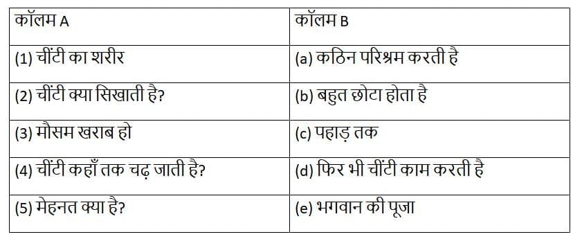 Worksheet Solutions: चींटी | Worksheets with solutions for Class 3