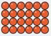 Particulate Nature of Matter NCERT Solutions | Science Curiosity Class 8 -  New NCERT