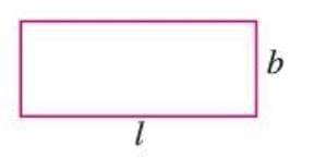 Fundamental Concepts of Algebra Chapter Notes | Mathematics Class 6 ICSE