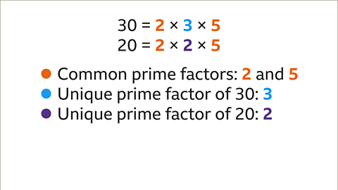 What is a Common Factor? - Year 7