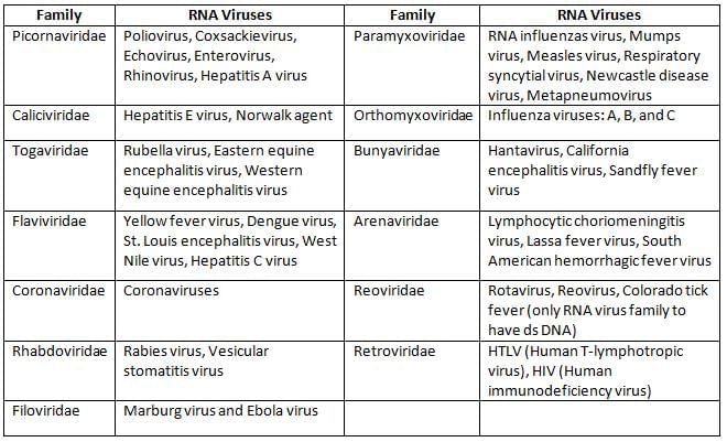 General Properties of Viruses Chapter Notes | Microbiology - NEET PG