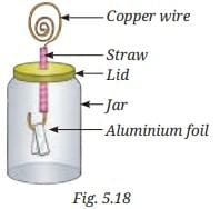 Exploring Forces NCERT Solutions | Science Curiosity Class 8 -  New NCERT