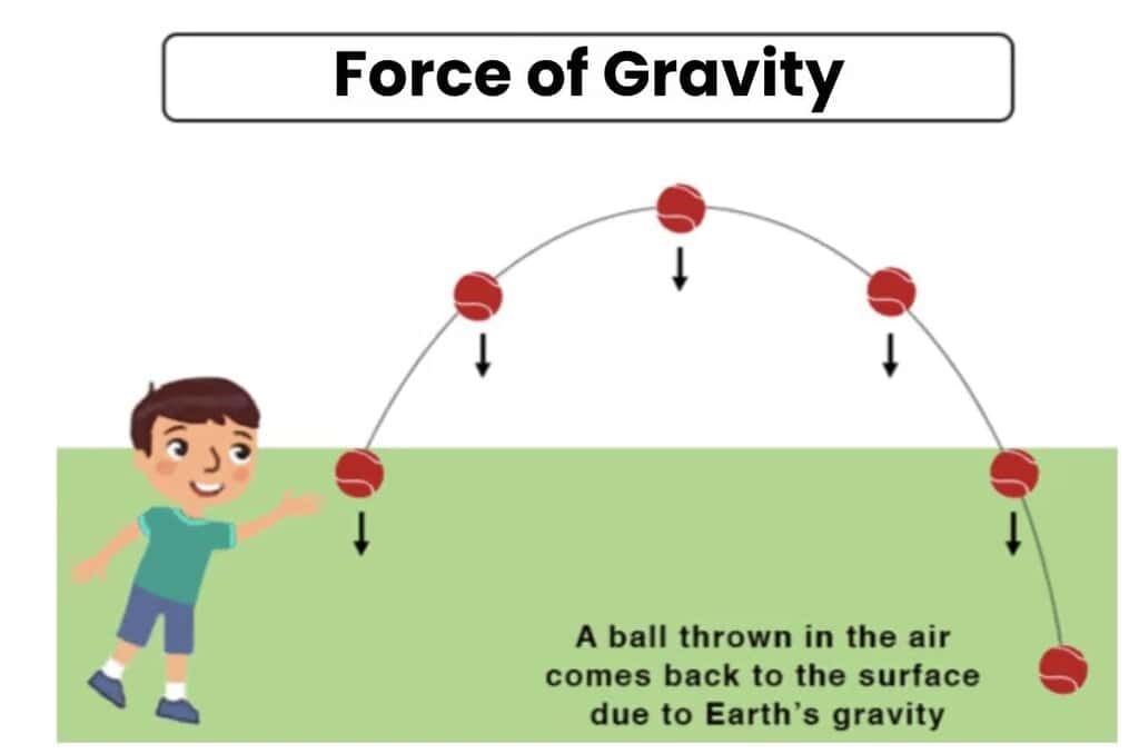 Gravitation Class 9 Notes Science Chapter 9