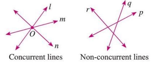 Fundamental Concepts of Geometry Chapter Notes | Mathematics Class 6 ICSE