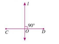 Fundamental Concepts of Geometry Chapter Notes | Mathematics Class 6 ICSE