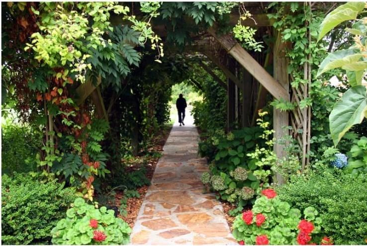 A Walk in the Garden | Essays for Class 6