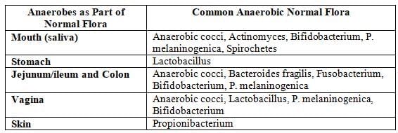 Anaerobes: Clostridium and Non-Sporing Anaerobes Chapter Notes | Microbiology - NEET PG