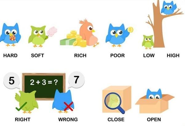 Olympiad Notes: Word Power | English Olympiad Class 1