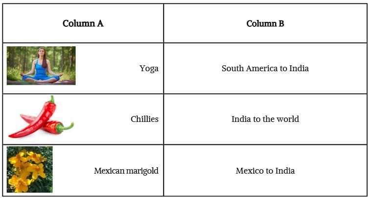 Unit Test: Earth — Our Shared Home | Our Wondrous World  Class 5 - New NCERT