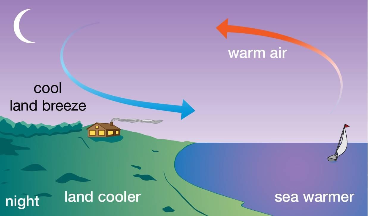Pressure, Winds, Storms, and Cyclones Chapter Notes | Science Curiosity Class 8 - New NCERT