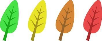 The Four Seasons - 2 Class 1 Worksheet English Mridang