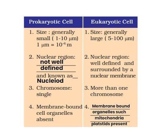 Cell and Cell Organelles Chapter Notes | Biology for SSS 1
