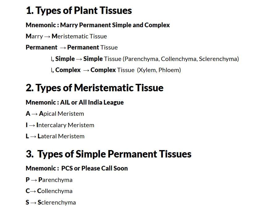 What do you get under EduRev Infinity Package for Class 9? | Parent`s Guide to EduRev Infinity for Class 9