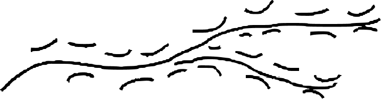 Answer the following questions