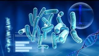 Culture Media & Methods, Identification of Bacteria by Conventional Chapter Notes | Microbiology - NEET PG