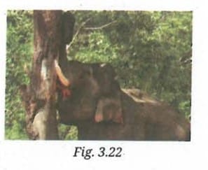 Revise, Reflect, Refine