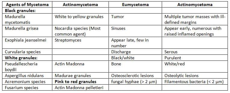 Mycology Chapter Notes | Microbiology - NEET PG