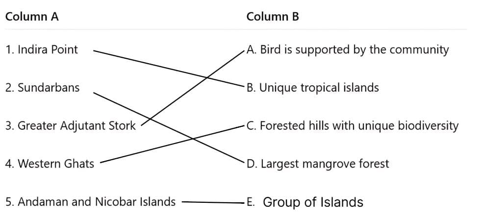 Worksheet Solutions: Some Unique Places | Worksheets with Solutions for Class 5