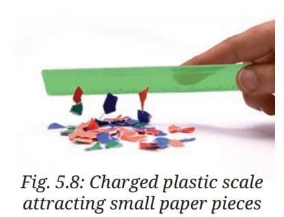 NCERT Based Activity: Exploring Forces | Science Class 8