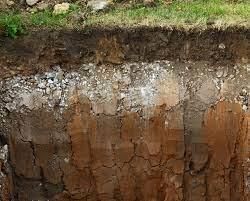 Soils of India - 1 Class 4 Worksheet SST