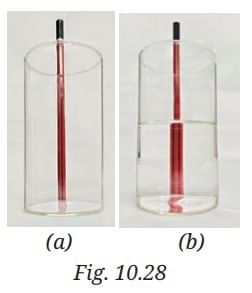 Light: Mirrors and Lenses NCERT Solutions | Science Curiosity Class 8 -  New NCERT