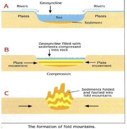 Landforms of the Earth Chapter Notes | Science for Grade 7