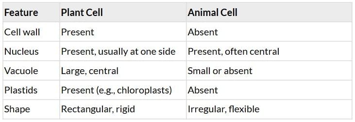 The Invisible Living World: Beyond Our Naked Eye Chapter Notes | Chapter Notes For Class 8