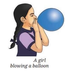 Pressure, Winds, Storms, and Cyclones Chapter Notes | Science Curiosity Class 8 - New NCERT