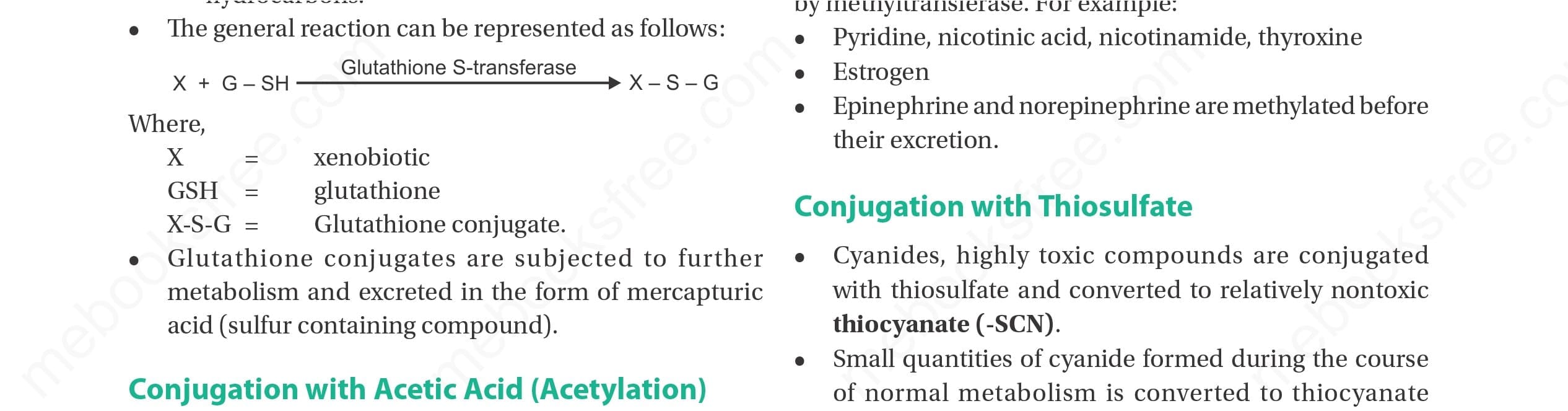 Detoxification (Metabolism of Xenobiotics) Chapter Notes