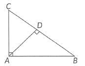 Previous Year Questions: Triangles | Mathematics (Maths) Class 10