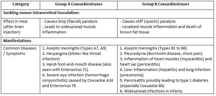 Arboviruses, Picornaviruses and Rabies Virus Chapter Notes | Microbiology - NEET PG