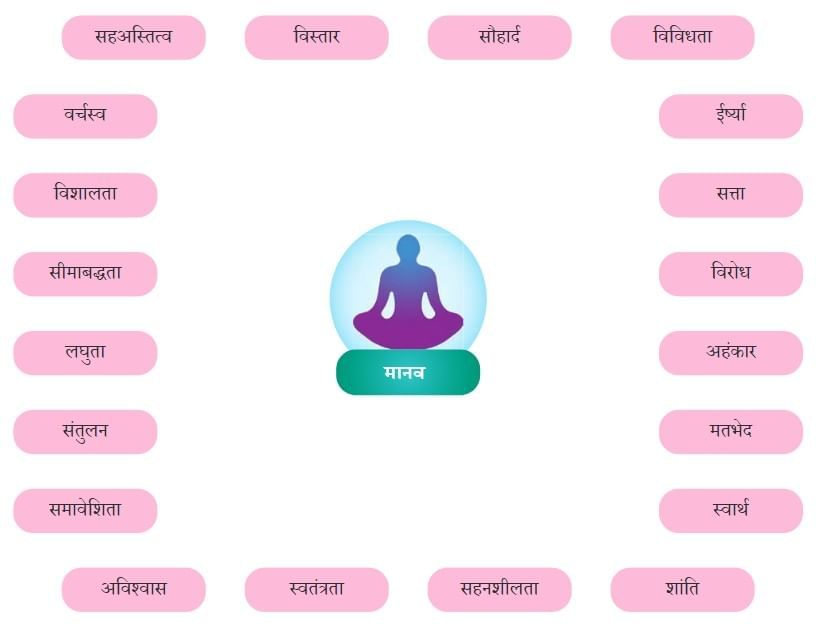 आदमी का अनुपात NCERT Solutions | Hindi मल्हार Class 8 - New NCERT