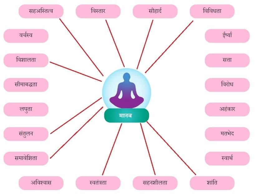 आदमी का अनुपात NCERT Solutions | Hindi मल्हार Class 8 - New NCERT